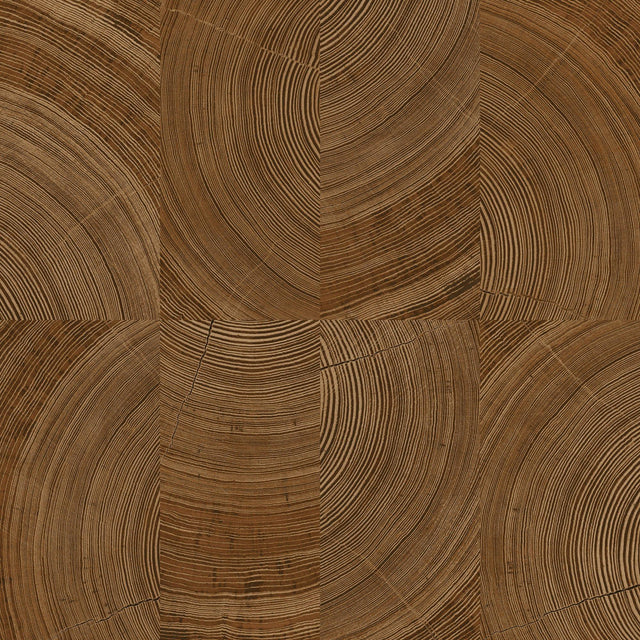 Galerie KRA69101 Karuna Photographic Motive Brown Wallpaper KRA69101 Brown Wallpaper
