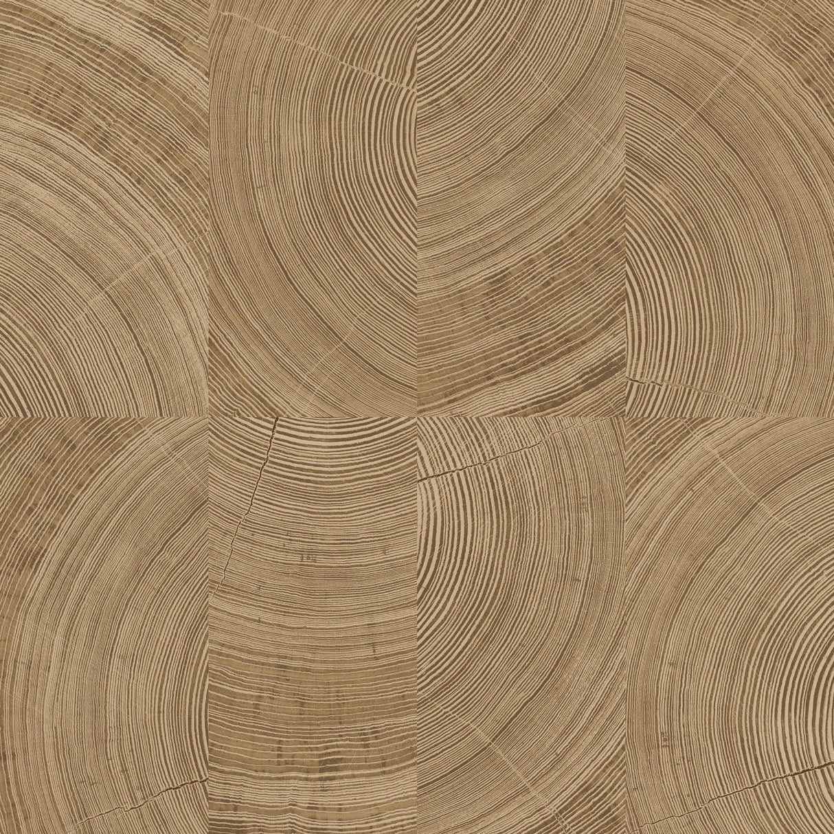 Galerie KRA69102 Karuna Photographic Motive Brown Wallpaper KRA69102 Brown Wallpaper