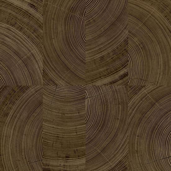 Galerie KRA69103 Karuna Photographic Motive Brown Wallpaper KRA69103 Brown Wallpaper
