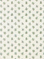 Scalamandre Summer Flora Print Key Lime Fabric
