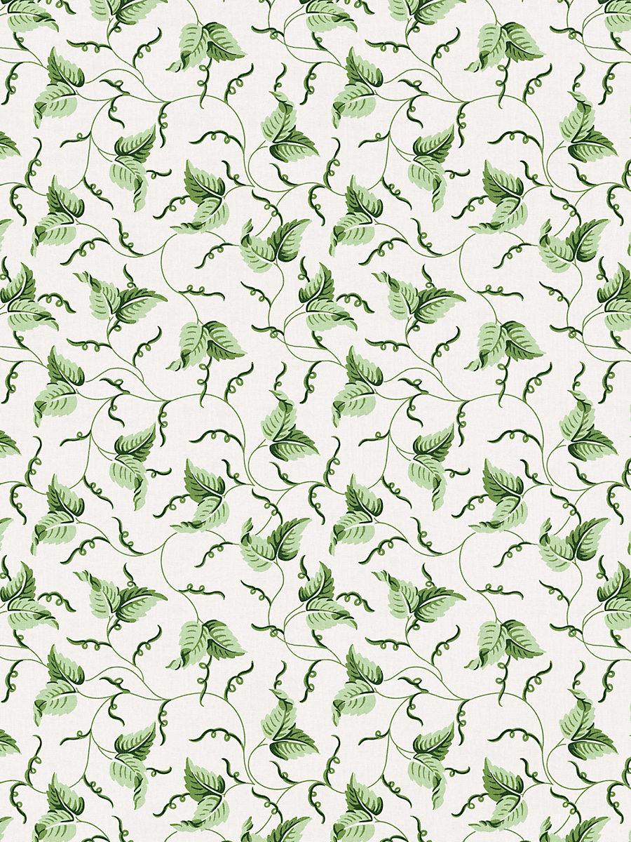 Scalamandre Angle Leaf Print Moss Fabric
