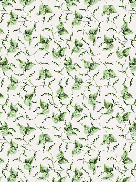 Scalamandre Angle Leaf Print Moss Fabric