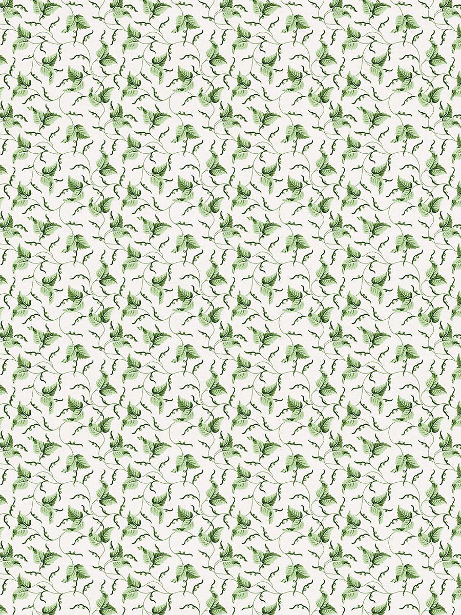 Scalamandre Angle Leaf Print Moss Fabric