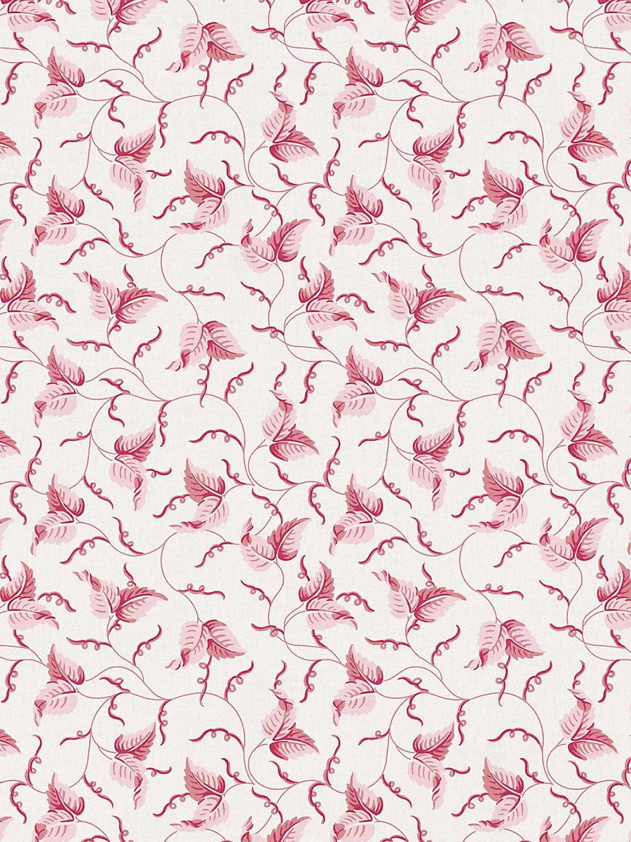 Scalamandre Angle Leaf Print Peony Fabric