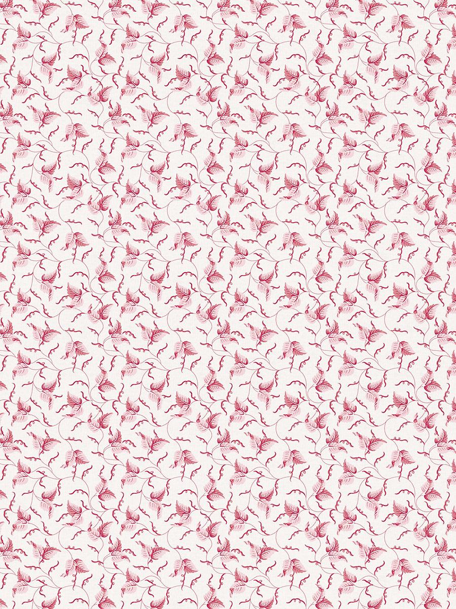 Scalamandre Angle Leaf Print Peony Fabric