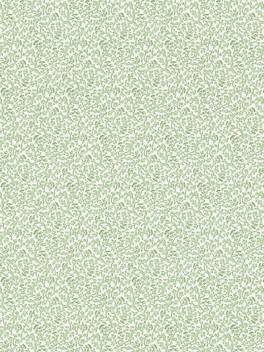 Scalamandre Bandbox Print Meadow Fabric