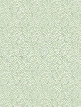 Scalamandre Bandbox Print Meadow Fabric