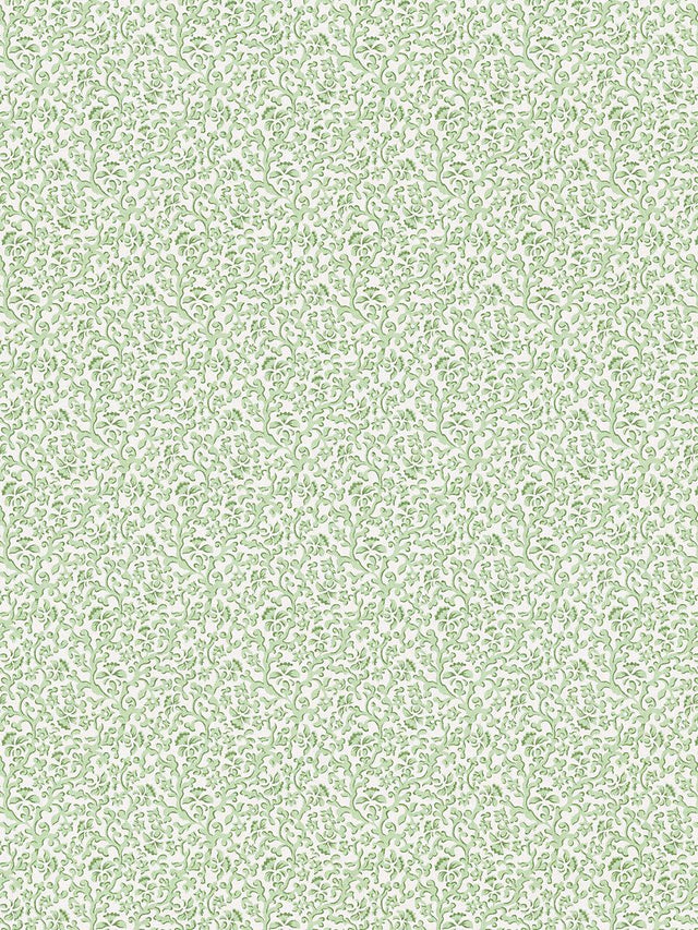 Scalamandre Bandbox Print Meadow Fabric