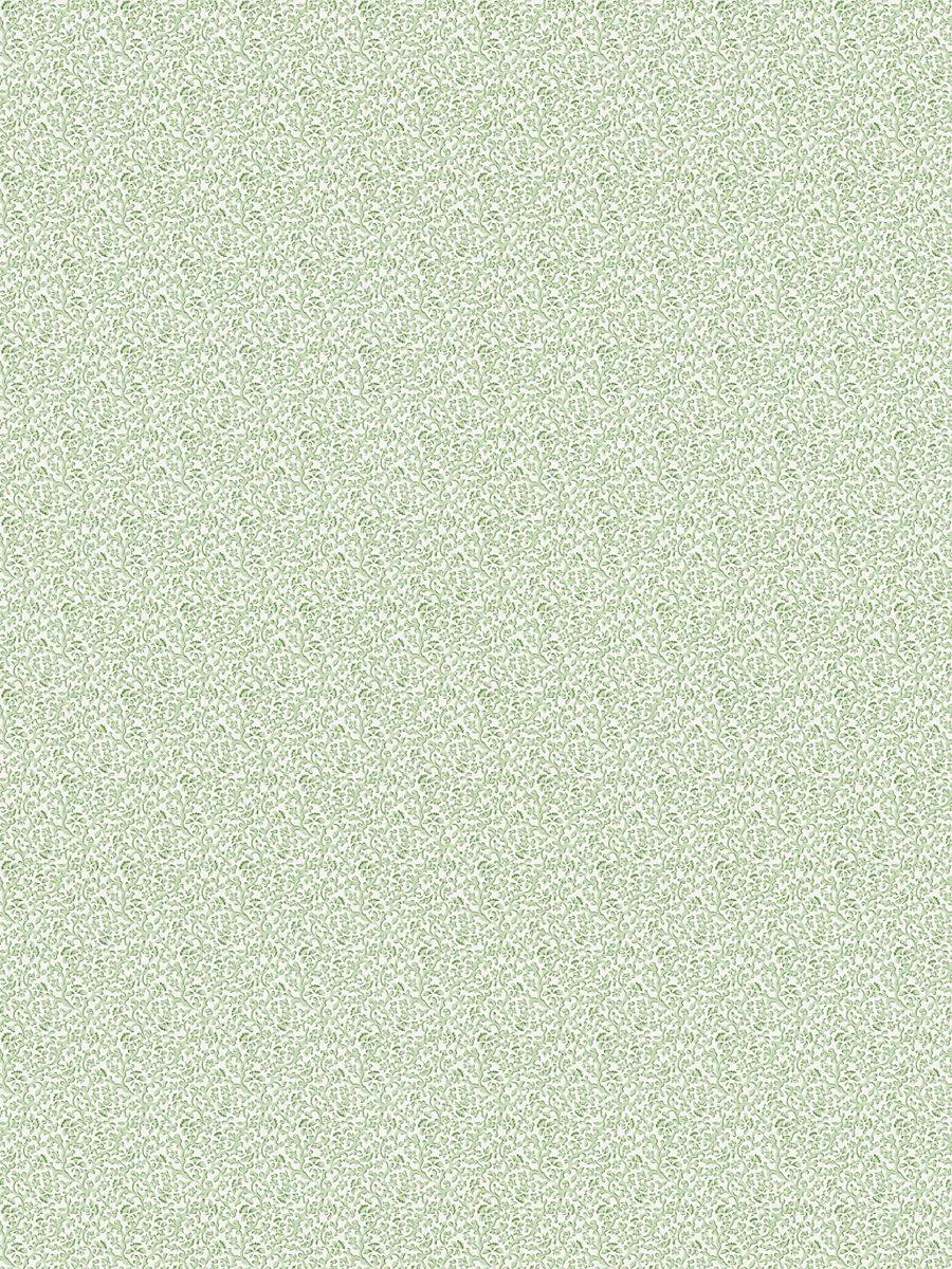 Scalamandre Bandbox Print Meadow Fabric