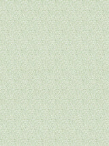 Scalamandre Bandbox Print Meadow Fabric