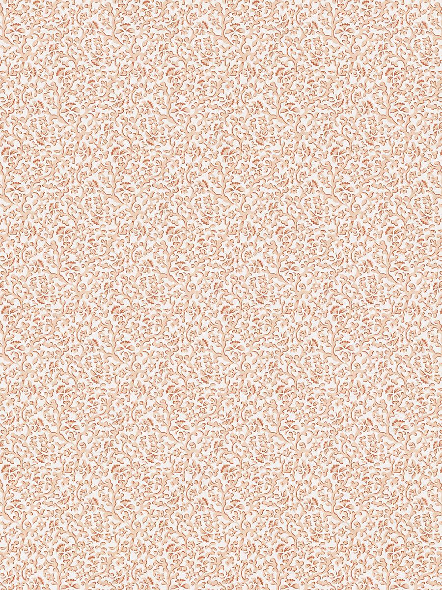 Scalamandre Bandbox Print Peach Fabric