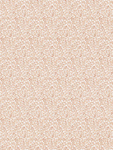 Scalamandre Bandbox Print Peach Fabric