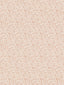Scalamandre Bandbox Print Peach Fabric