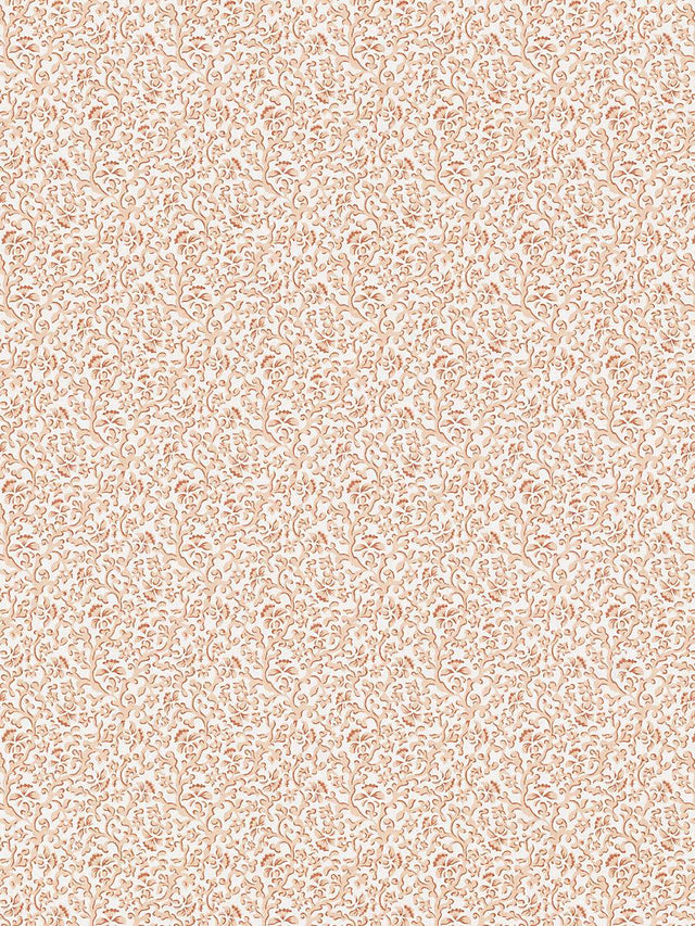Scalamandre Bandbox Print Peach Fabric