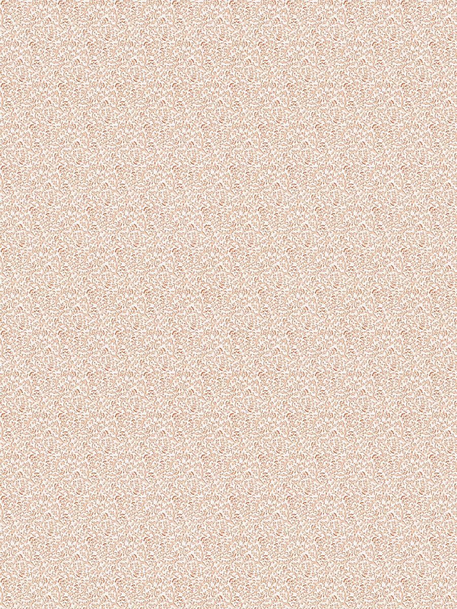 Scalamandre Bandbox Print Peach Fabric