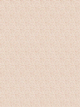 Scalamandre Bandbox Print Peach Fabric