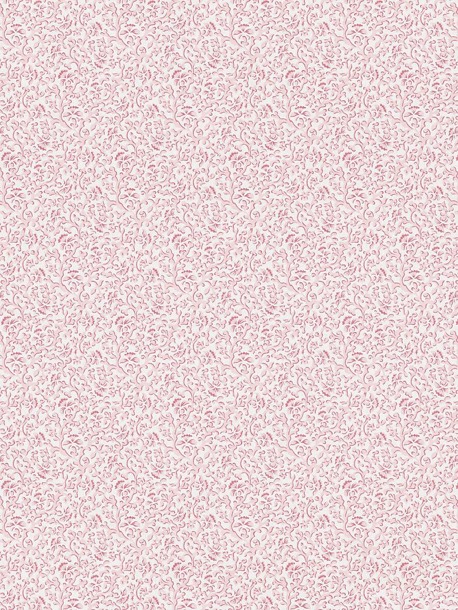 Scalamandre Bandbox Print Posey Fabric