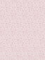 Scalamandre Bandbox Print Posey Fabric
