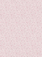 Scalamandre Bandbox Print Posey Fabric