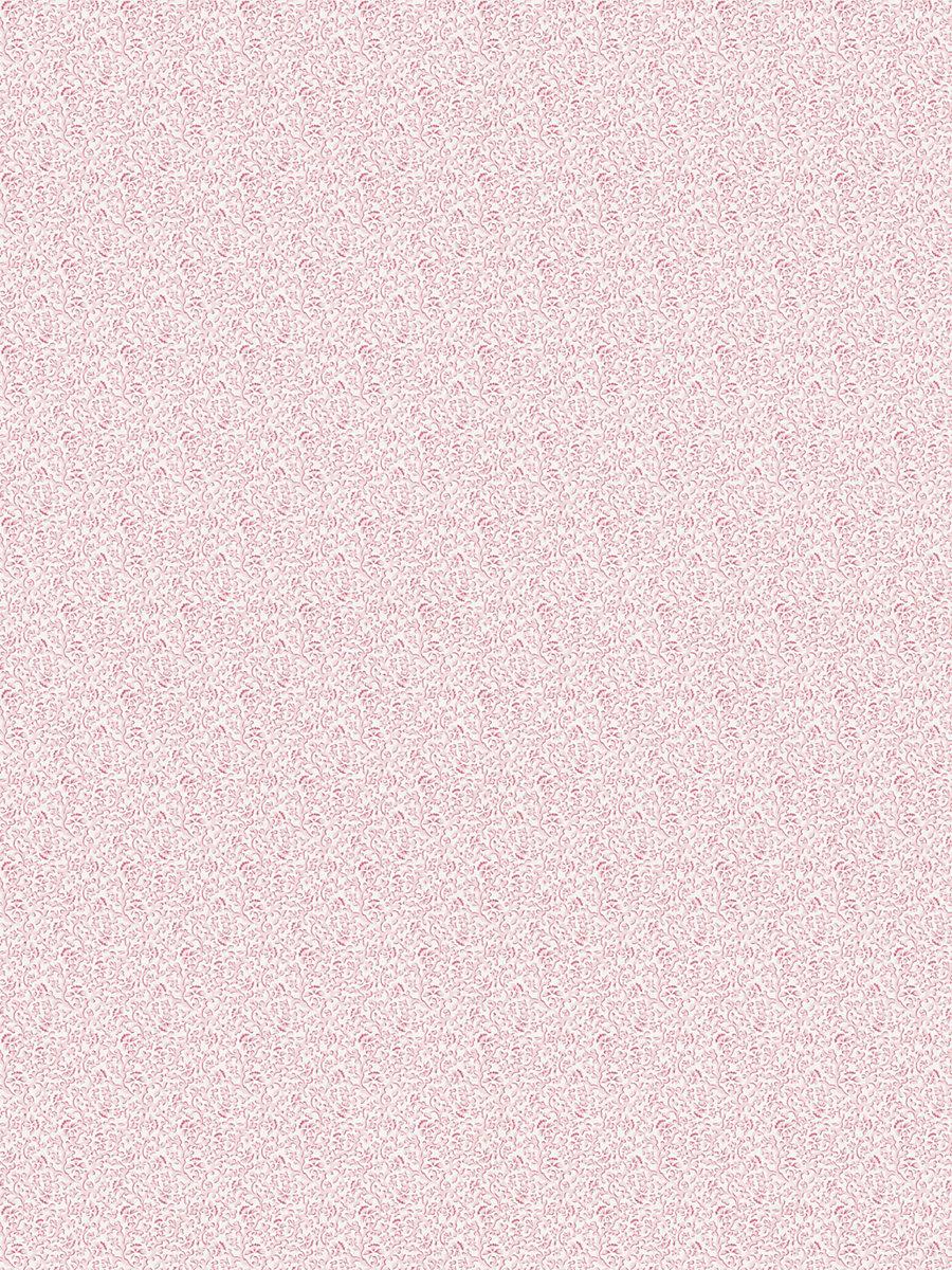 Scalamandre Bandbox Print Posey Fabric