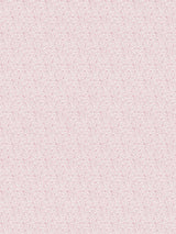 Scalamandre Bandbox Print Posey Fabric