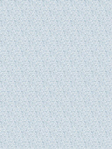 Scalamandre Bandbox Print Bluebell Fabric