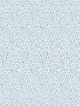 Scalamandre Bandbox Print Misty Blue Fabric