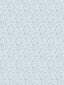 Scalamandre Bandbox Print Misty Blue Fabric