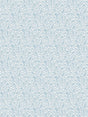 Scalamandre Bandbox Print Misty Blue Fabric