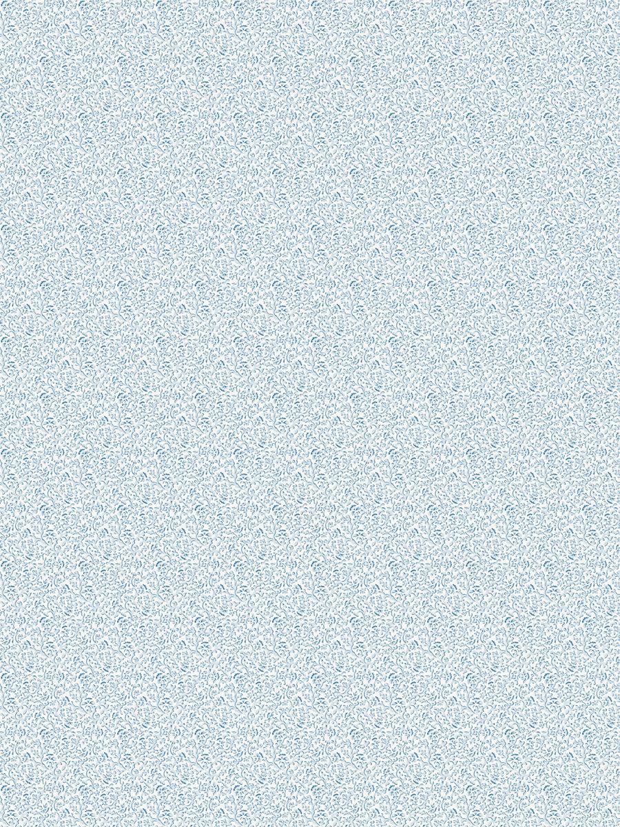 Scalamandre Bandbox Print Misty Blue Fabric
