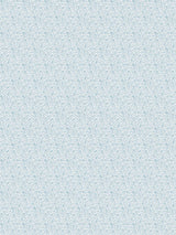 Scalamandre Bandbox Print Misty Blue Fabric