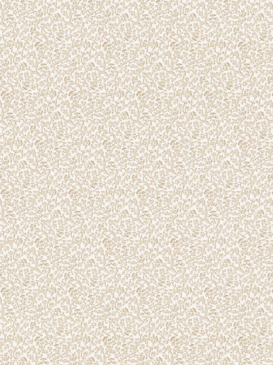 Scalamandre Bandbox Print Hazelnut Fabric