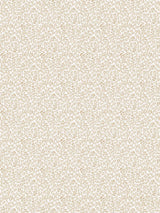 Scalamandre Bandbox Print Hazelnut Fabric