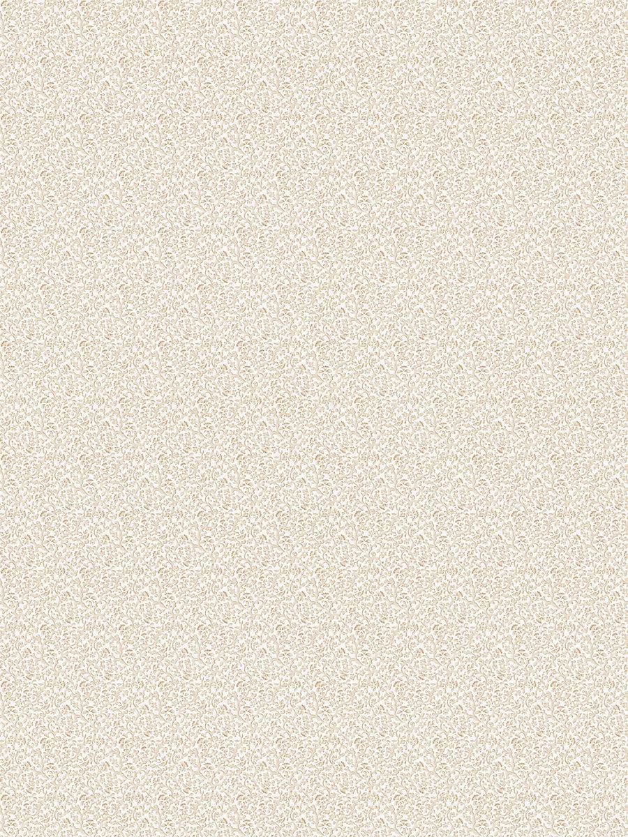 Scalamandre Bandbox Print Hazelnut Fabric
