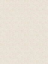 Scalamandre Bandbox Print Hazelnut Fabric