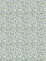 Scalamandre Oaktree Print Wintermint Fabric