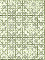 Scalamandre Ormond Fret Print Grass Fabric
