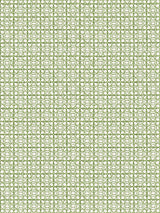 Scalamandre Ormond Fret Print Grass Fabric