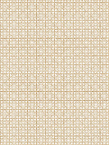 Scalamandre Ormond Fret Print Twine Fabric