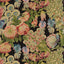 House of Hackney AMATORIA MAGNA Wallpaper - Noir (9'10" - full height)