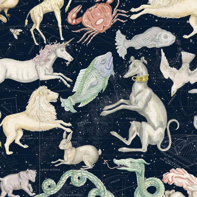 House of Hackney COSMOS Wallpaper - Midnight (9'10" - full height)