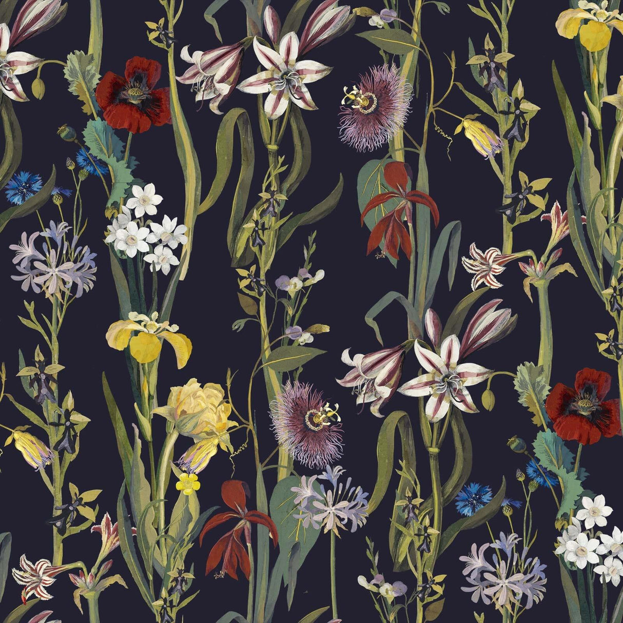 House of Hackney FLORA DELANICA Wallpaper - Midnight (9'10" - full height)