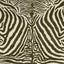 House of Hackney EQUUS Wallpaper - Cocoa (9'10" - full height)