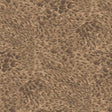 House of Hackney FERUS Wallpaper - Alabaster (9'10" - full height)