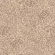 House of Hackney FERUS Wallpaper - Astrantia (9'10" - full height)