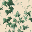 House of Hackney HEDERA Wallpaper - Viridian (9'10" - full height)