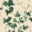 House of Hackney HEDERA Wallpaper - Viridian (9'10" - full height)