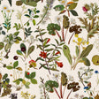 House of Hackney HERBARIUM Wallpaper - Ecru (9'10" - full height)