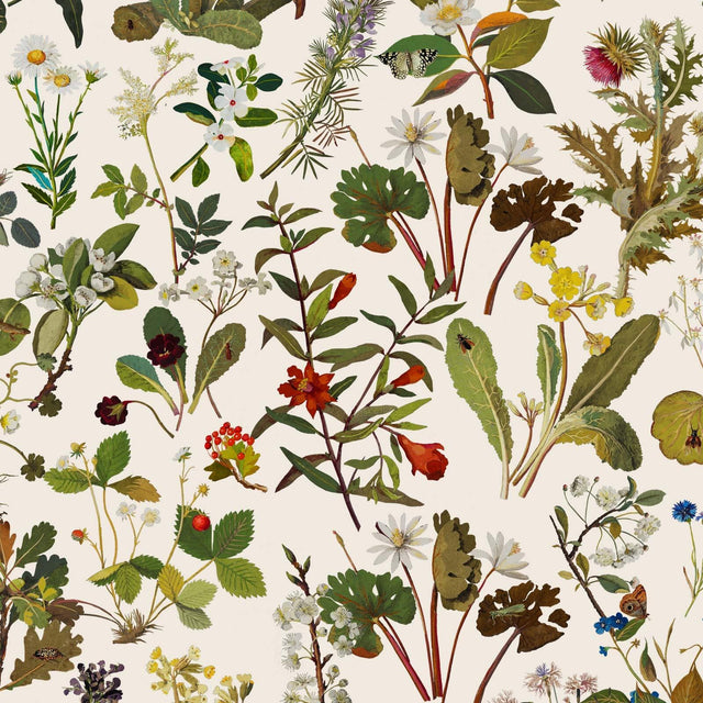 House of Hackney HERBARIUM Wallpaper - Ecru (9'10" - full height)