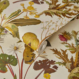 House of Hackney HERBARIUM Wallpaper - Ecru (9'10" - full height)